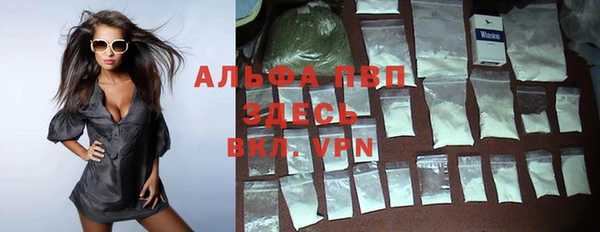 винт Инсар