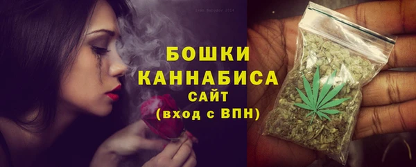 винт Инсар