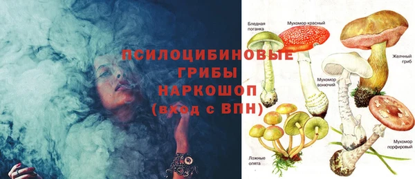 винт Инсар