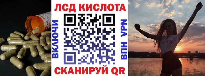 Купить закладки  Строитель  ЛСД экстази ecstasy 