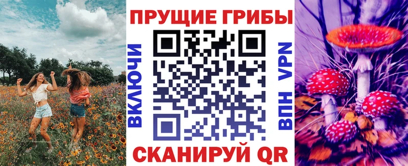 Купить  Строитель  Галлюциногенные грибы прущие грибы 